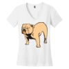Women's Perfect Weight ® V Neck Tee Thumbnail