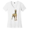 Women's Perfect Weight ® V Neck Tee Thumbnail